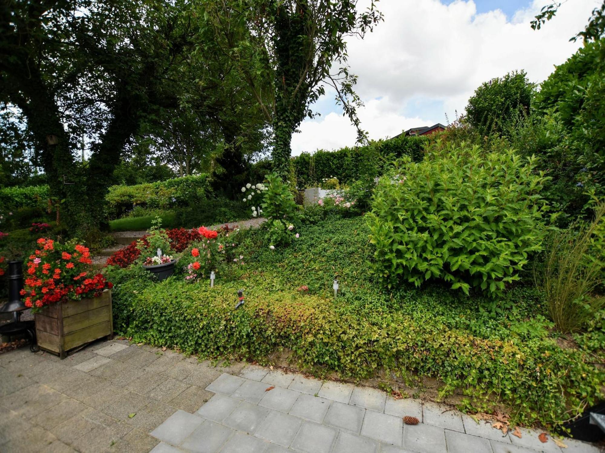 Luxury House In South Limburg Near Forest Walem Esterno foto